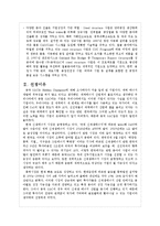 [국제경영] 동국 S&C 해외시장 진출 전략-5