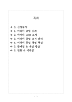 [경영] 미라이공업 성공요인 사례 분석-1