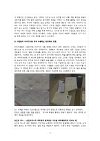 [경영] 미라이공업 성공요인 사례 분석-11