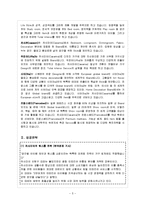 [글로벌마케팅] 까사미아-Casamia 성공전략-5