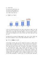 [국제경영] Simone 시몬느 성공요인 분석-4