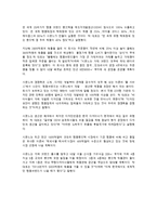 [국제경영] Simone 시몬느 성공요인 분석-7