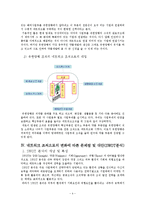 유한양행 조직구조 분석-9