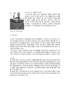 [소비자 행동론] 소구방법 & 효과-4