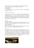 [소비자 행동론] 소구방법 & 효과-12