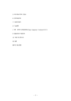 [관세 Vs 비관세] 관세의 종류와 경제적 효과, 비관세무역장벽의 사례-17