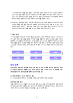 [마케팅] 현대자동차 제네시스의 국내 점유율 증가를 위한 마케팅 전략-13