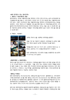 [마케팅] 현대자동차 제네시스의 국내 점유율 증가를 위한 마케팅 전략-17
