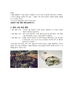 [화폐 금융] 통화스왑-2