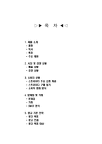 [광고기획] 스트라이다 STRIDA 광고기획서-2