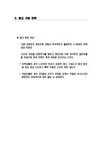 [광고기획] 스트라이다 STRIDA 광고기획서-10