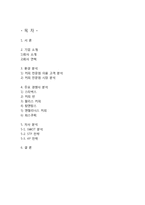 카페베네 마케팅 전략 분석 -환경분석 및 SWOT, STP, 4P 분석-2