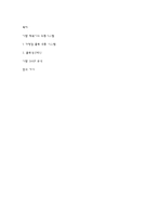 아딸 SWOT 분석 및 유통시스템-3