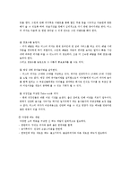 (주)한국미스터피자 마케팅 분석-14