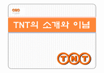 TNT 물류전략 레포트-3