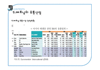 [국제기업환경론] 베트남 유통시장을 통해 본 신흥시장으로서의 베트남-15