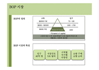 BOP(Bottom of Pyramid) 시장-3