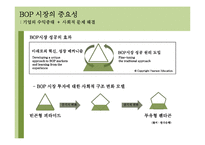 BOP(Bottom of Pyramid) 시장-5