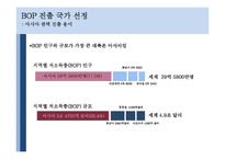 BOP(Bottom of Pyramid) 시장-11