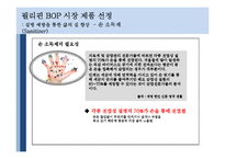 BOP(Bottom of Pyramid) 시장-15
