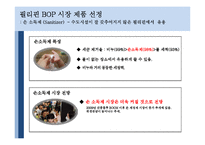BOP(Bottom of Pyramid) 시장-16