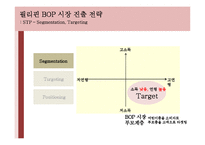 BOP(Bottom of Pyramid) 시장-19