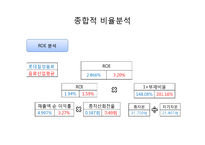 [경영분석] 롯데칠성음료(주) 기업분석-10