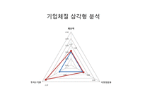[경영분석] 롯데칠성음료(주) 기업분석-14