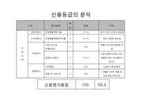 [경영분석] 롯데칠성음료(주) 기업분석-19