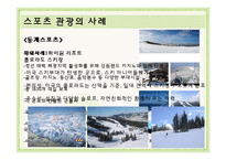 사례로 보는 종교, 스포츠 관광-4
