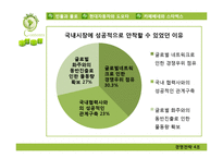 [경영전략] 국내시장에서의 해외의 글로벌기업과 국내기업의 경쟁사례 분석-5