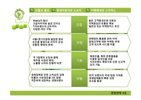 [경영전략] 국내시장에서의 해외의 글로벌기업과 국내기업의 경쟁사례 분석-11