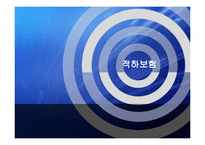 해상보험계약 -적하보험-1