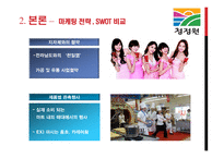 식가공제조산업 -(식료품부문)분석(대상 청정원, CJ제일제당)-13