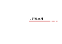 [국제마케팅] 진로소주 해외시장 진출 분석 및 전략-3