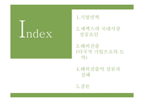 [국제경영] 세맥스 해외직접투자-2