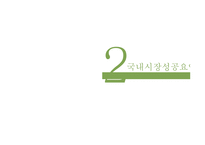 [국제경영] 세맥스 해외직접투자-6