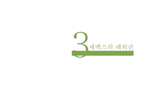 [국제경영] 세맥스 해외직접투자-14