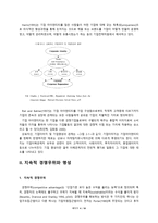 [국제마케팅] 은행의 마케팅 사례 분석 -골드만삭스 마케팅 전략-4
