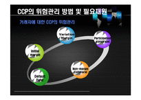 [국제금융론 번역] 중앙청산소의 확대-9