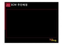 [경영정보] 롯데마트 SCM-12