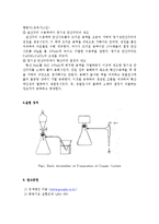 [화학공학] 구리로부터 황산구리(5수화물) 제조 실험-2