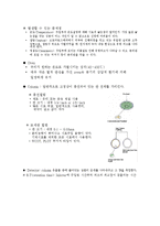 [실험] GC의 원리와 운전 방법의 이해(예비레포트)-4
