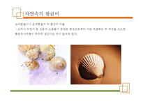 [과학기술] 미술 속의 과학-4