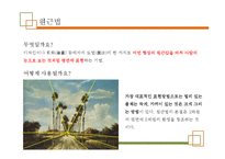 [과학기술] 미술 속의 과학-7
