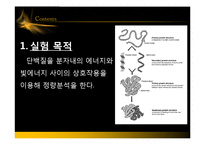 [화학공학] 단백질 정량-3