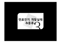 연료전지의 친환경. 에너지효율적인 가치와 앞으로의 활용전망에 대하여-8