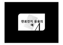 연료전지의 친환경. 에너지효율적인 가치와 앞으로의 활용전망에 대하여-11