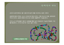 [화학공학] 단백질의 검정 및 정량-2