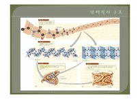 [화학공학] 단백질의 검정 및 정량-4